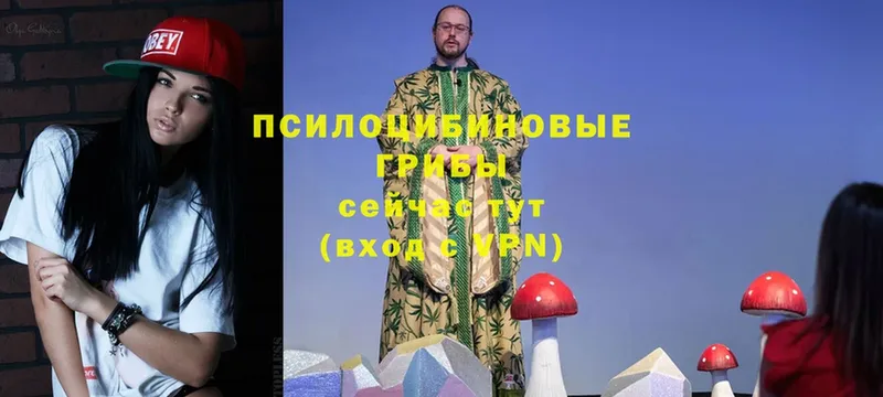 OMG ссылка  Гай  Псилоцибиновые грибы мухоморы 