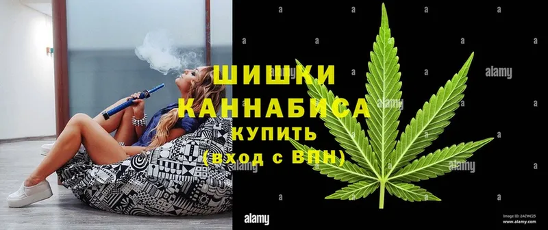 Конопля SATIVA & INDICA  Гай 